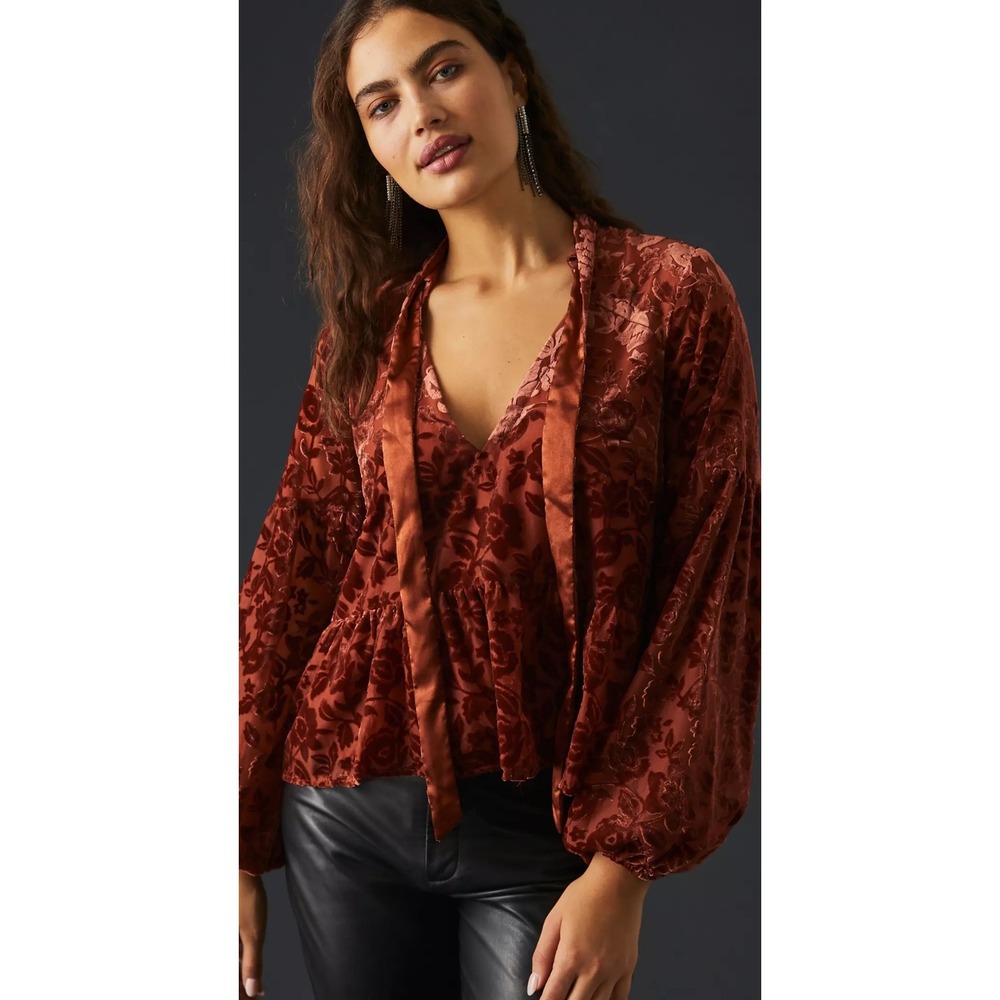 NWT Anthropologie‎ Blouse XS Floral Burnout Velvet Tie Neck Long Sleeve Top Boho